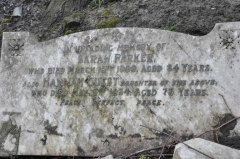 Parker - Guest