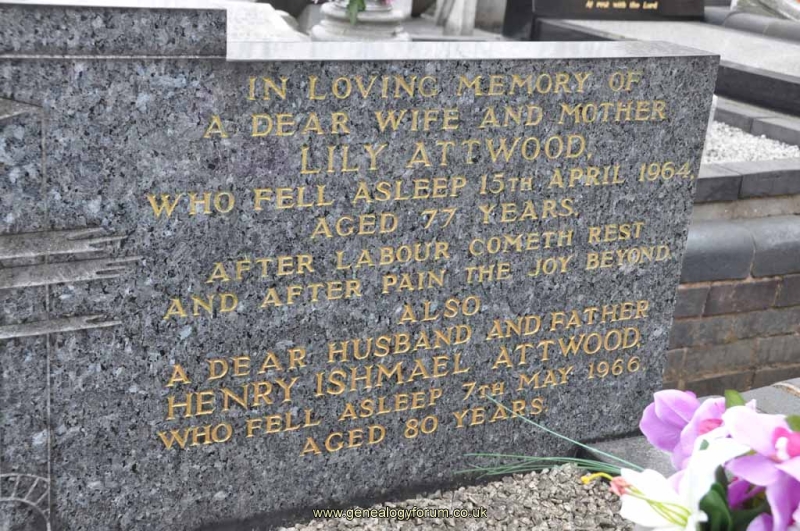 Attwood - Henry Ishmael, Lily