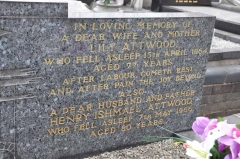 Attwood - Henry Ishmael, Lily