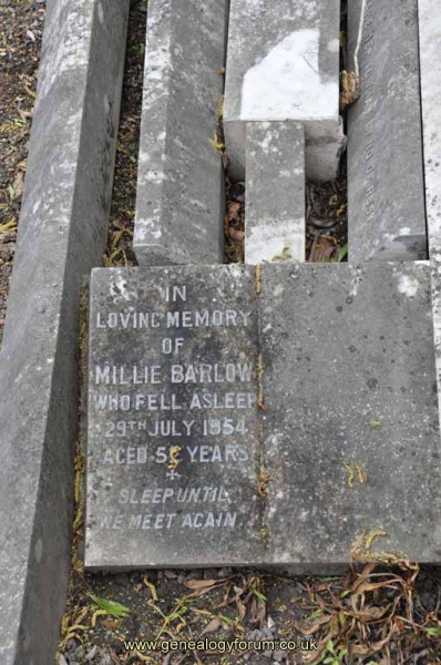 Barlow 1 - Millie