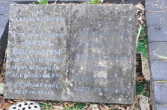 Billingham - Albert, Daisy
