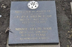 Billingham - George, Minnie