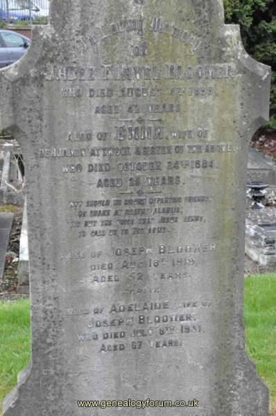 Bloomer / Attwood