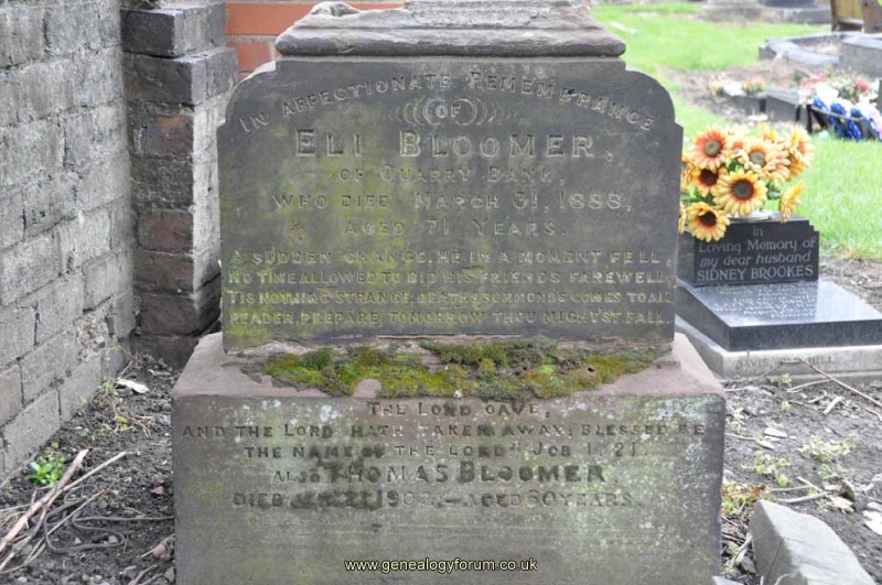 Bloomer - Eli & Thomas