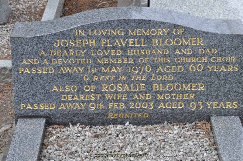 Bloomer - Joseph Flavell, Rosalie