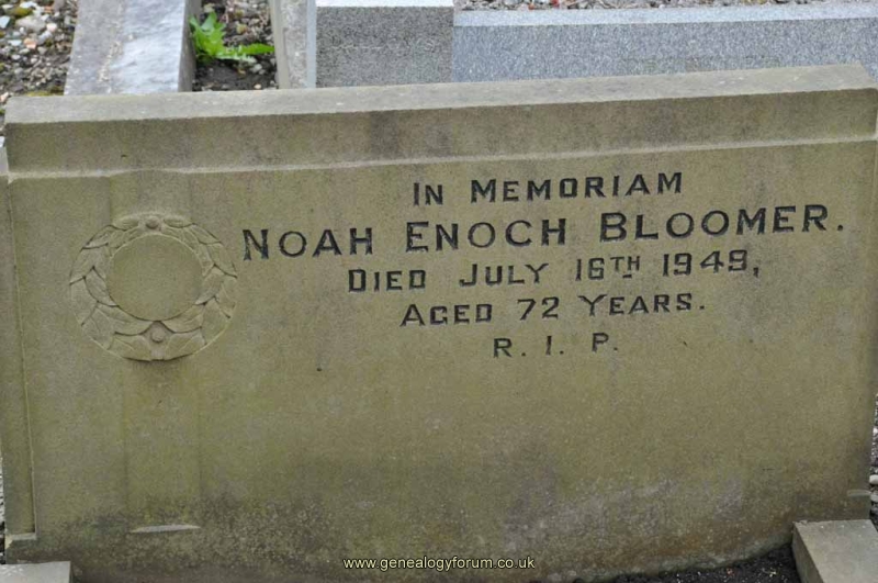 Bloomer - Noah Enoch