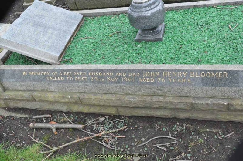 Bloomer 1 - John Henry