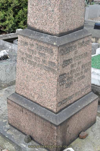 Davies - Bertie (son of John & Selina)