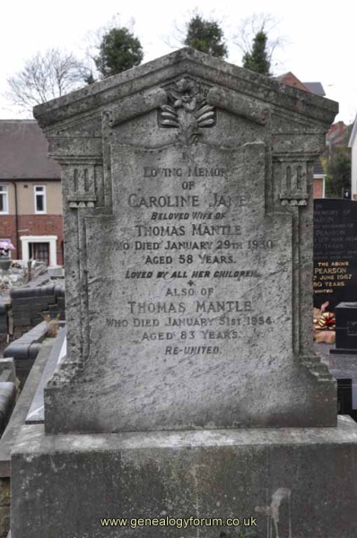 Mantle - Thomas, Caroline