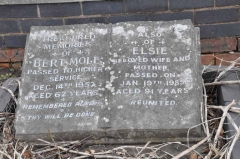 Mole - Bert, Elsie
