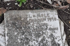 Mole - Samuel