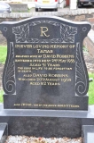 Robbins - David, Tamar