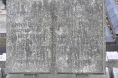 Shaw - James Ernest, Fanny Rebecca