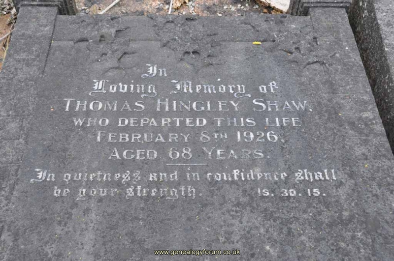 Shaw - Thomas Hingley