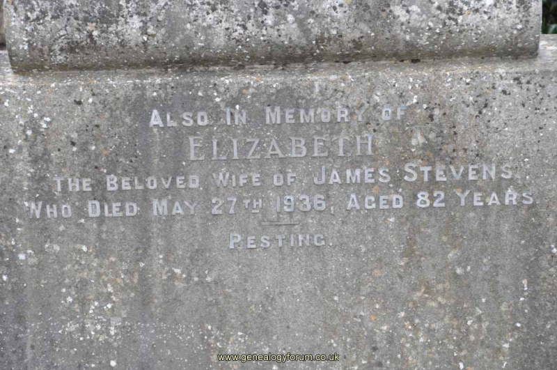 Stevens - Elizabeth (wife of James)