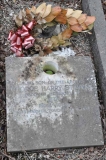 Stevens - George Harry (husband of Rita)