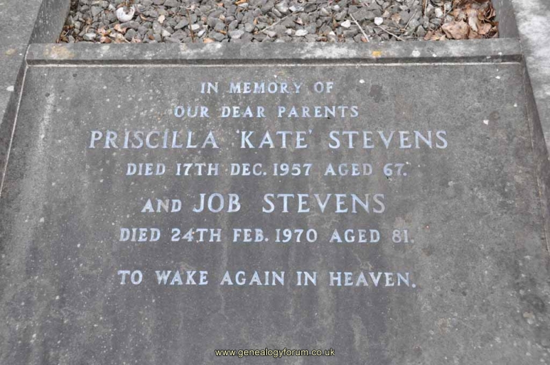 Stevens - Job, Priscilla Kate