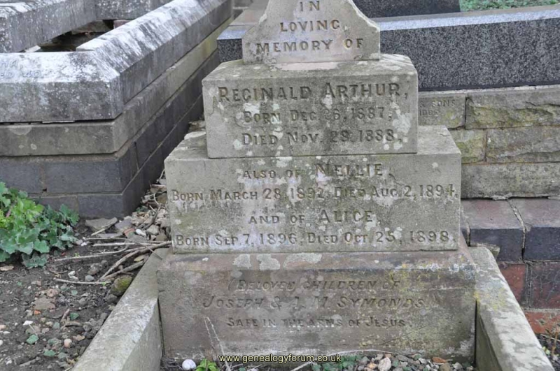 Symonds - Reginald, Nellie, Alice (children of Joseph & A M Symonds)