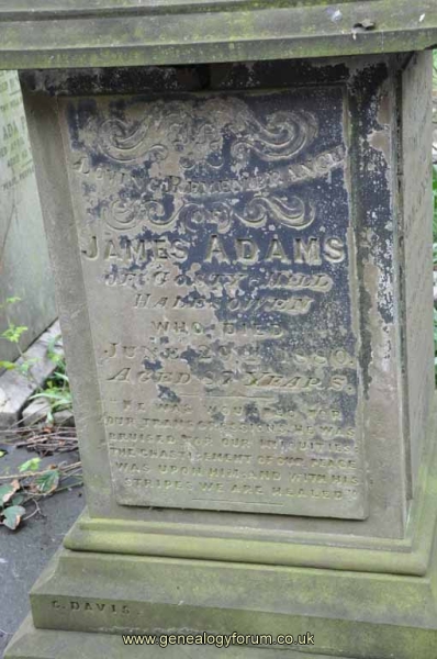 Adams/Jackson/Parsons 1