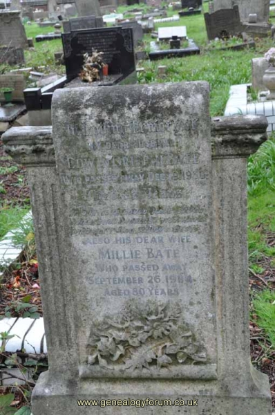 Bate - Edwin Griffin, Millie