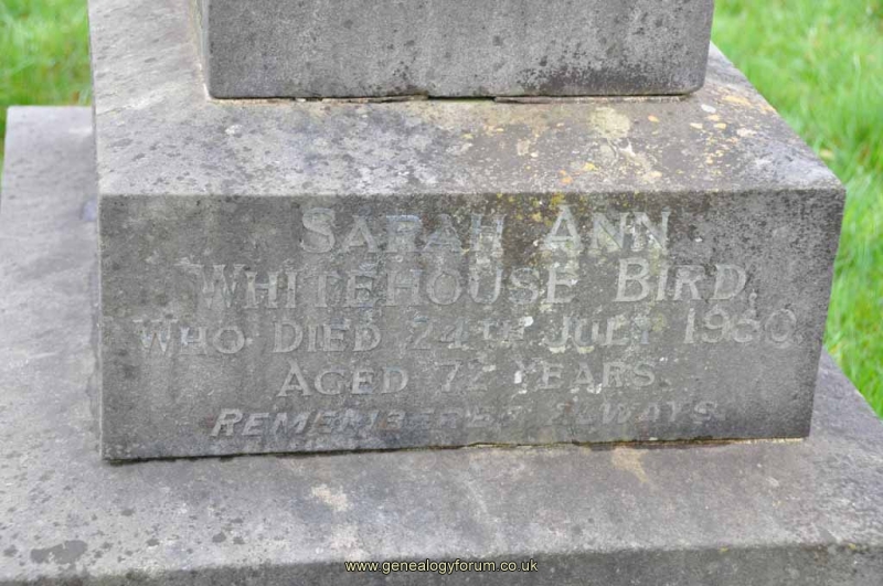 Bird 1 - Sarah Ann Whitehouse