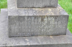 Bird 1 - Sarah Ann Whitehouse