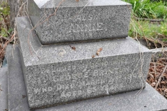 Brinton 1 - Annie (2nd wife of George)