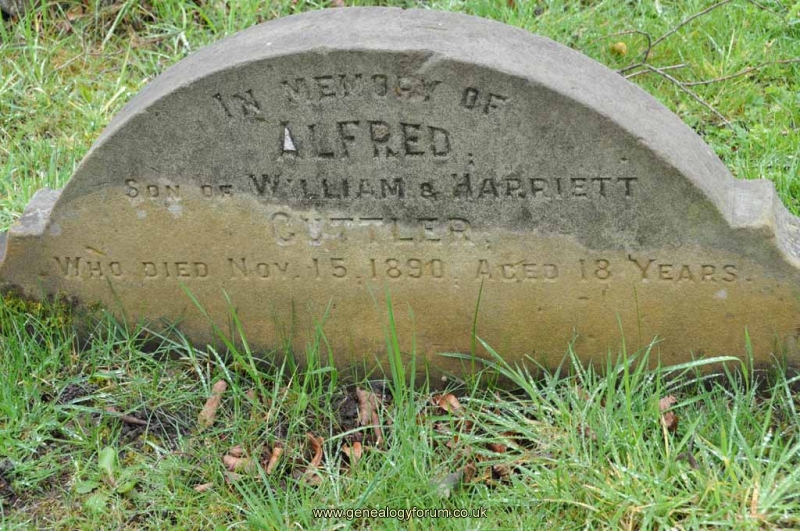 Cuttler - Alfred