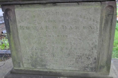 Darby 1 - Sarah