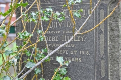 Hadley - David (husband of Phoebe)