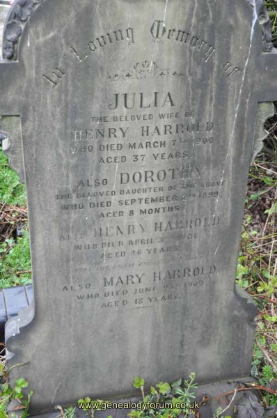 Harrold - Henry, Julia & Mary, Dorothy