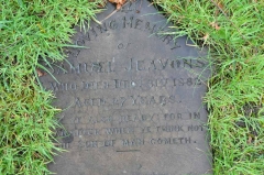 Jeavons - Samuel
