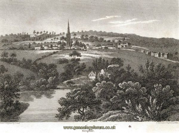 004a Halesowen - Town C1807