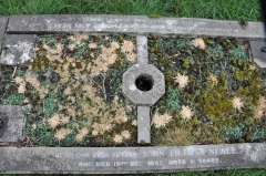 Neale - John Thomas, Phoebe