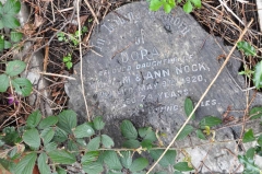 Nock - Dora (dau of William, Ann)