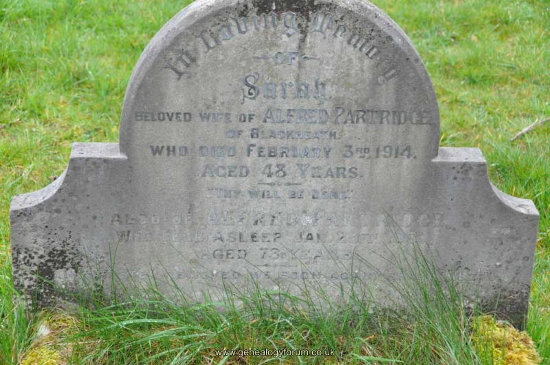 Partridge - Alfred, Sarah