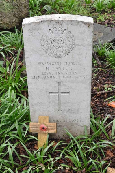 Pioneer H Taylor KIA