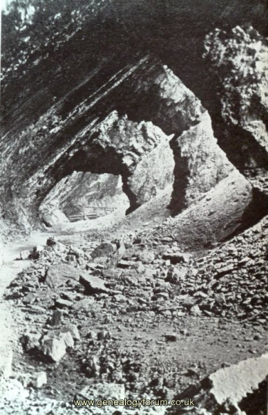Dudley - Wrens Nest