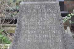 Roberts 1 - John Henry (husband of Ada Ann)