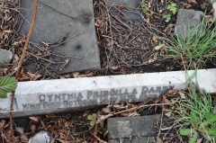 Rollason 1 - Cynthia Priscilla Darby