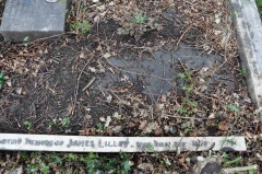 Rollason 1 - James Lilley