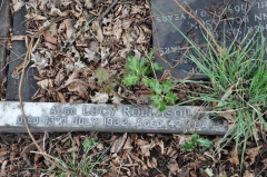 Rollason 1 - Lucy