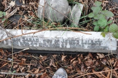 Rollason 1 - Sarah (wife of James Lilley)