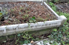 Rollason 2 - William