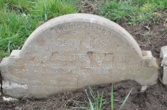 Rose - Ellen, Samuel (husband of Elizabeth)