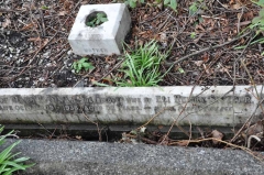 Siviter - Mary Hannah (wife of Eli Henry)