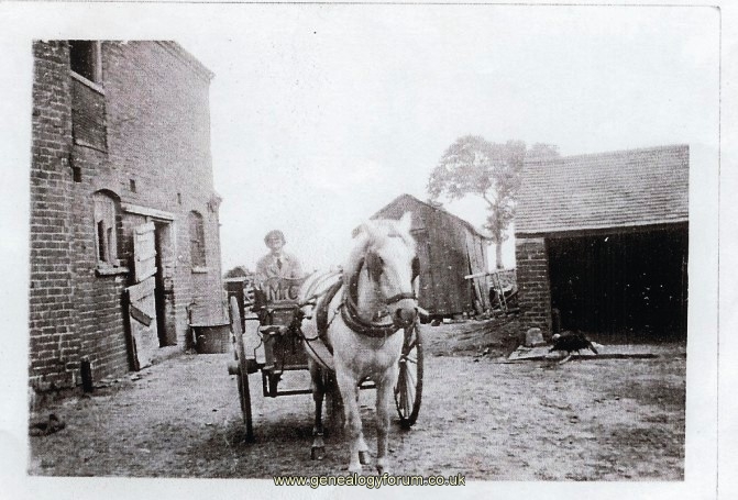 008a Rowley Regis - Hailstone Farm