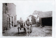 008a Rowley Regis - Hailstone Farm
