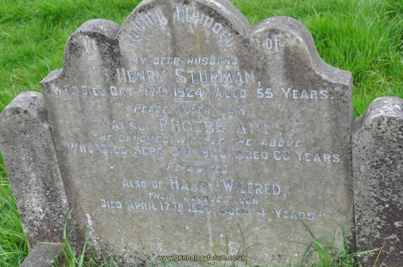 Sturman - Henry, Phoebe & son Harry Wilfred