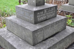 Taylor 1 - William (husband of Emma) William (husband of Fanny)